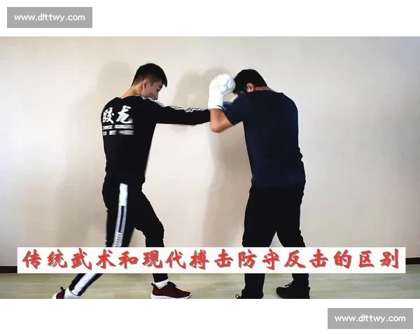 形意拳vs传统武术与现代格斗实战效果全面深度对比解析探讨体系 形意拳vs传统武术与现代格斗实战效果全面深度对比解析探讨体系